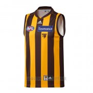 Maillot Hawthorn Hawks AFL 2021 Domicile