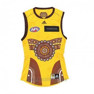 Maillot Hawthorn Hawks AFL 2022 Indigene